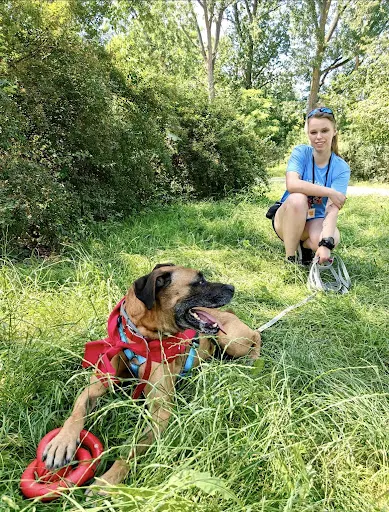 Dogadani - behawiorysta i trener psów Anna Marciniak